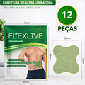 FlexLive - Adesivo Natural para Lombar